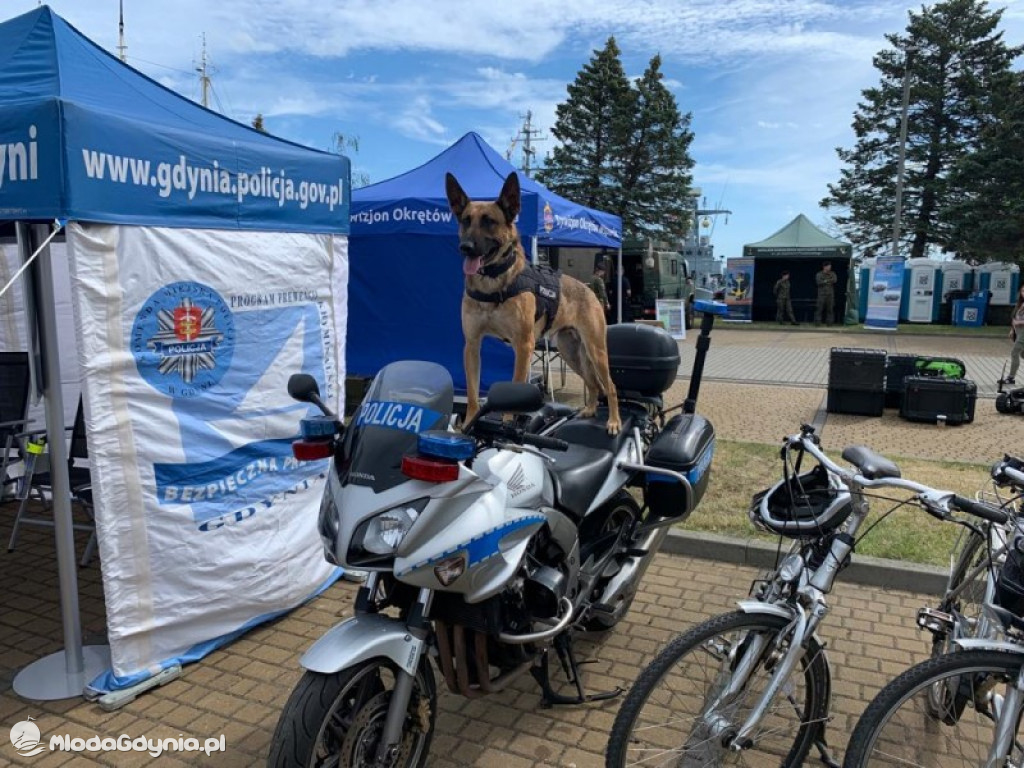 Gdynia. Funkcjonariusze Policji podczas wojskowego festynu promowali zawód policjanta