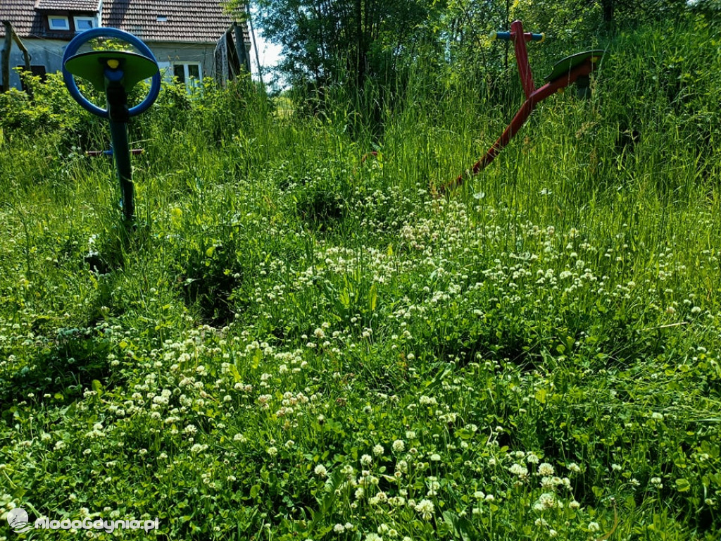 Plac zabaw w Domisławiu