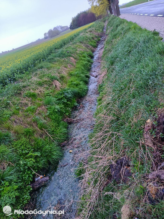Ścieki z Wyczech nadal trują