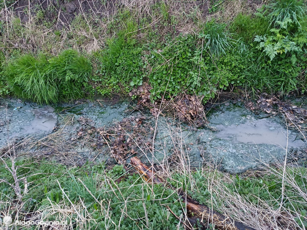 Ścieki z Wyczech nadal trują