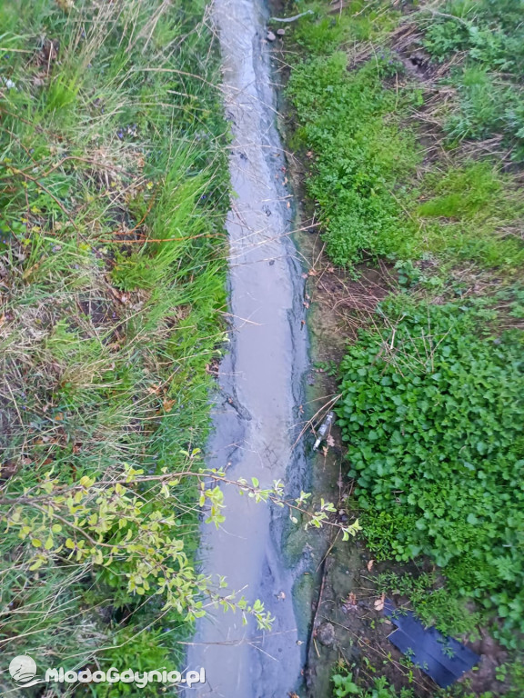 Ścieki z Wyczech nadal trują