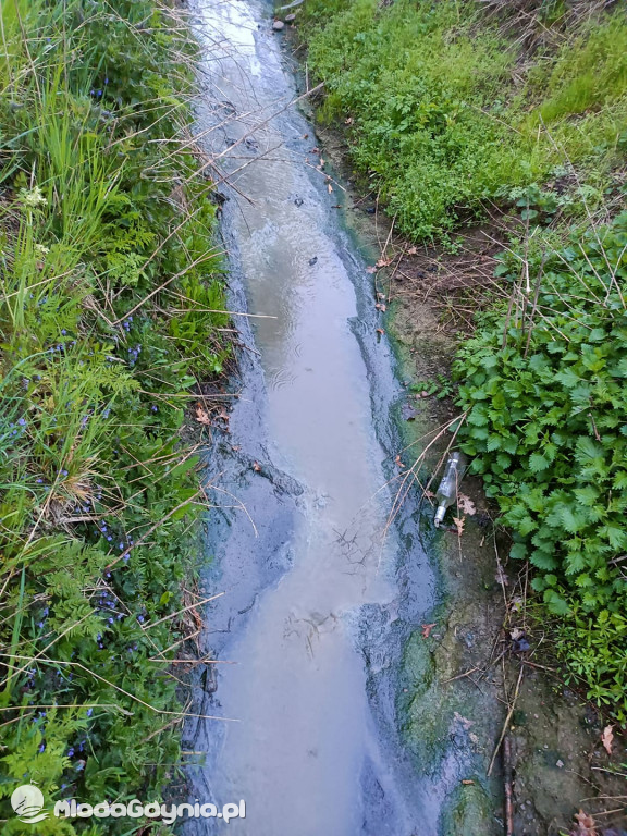 Ścieki z Wyczech nadal trują