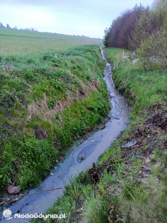Ścieki z Wyczech nadal trują