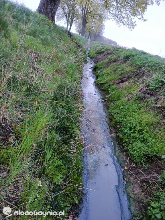 Ścieki z Wyczech nadal trują