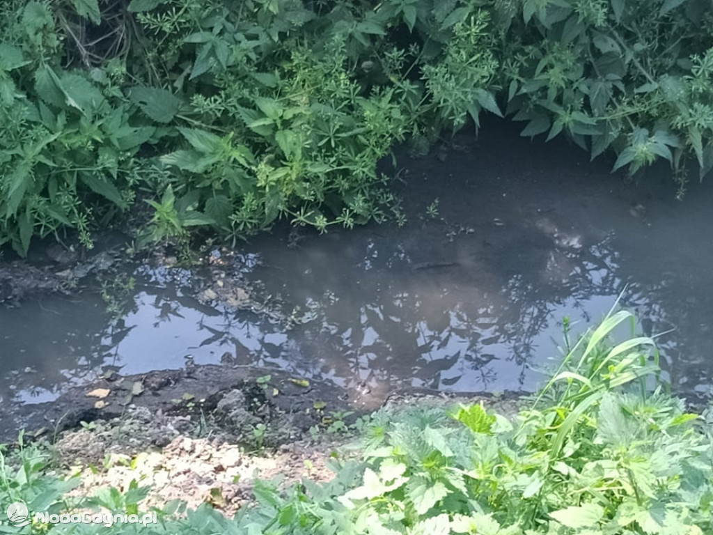 Ścieki z Wyczech nadal trują