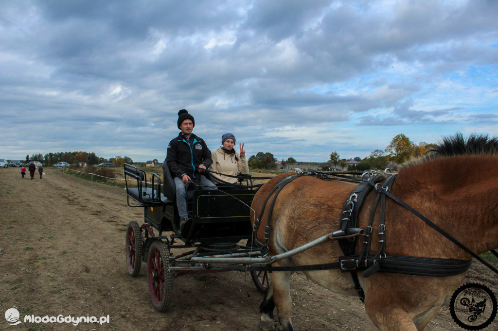Tor Motocrossowy Nadziejewo - Piknik Charytatywny dla Jakuba 16.10.2022 (II)