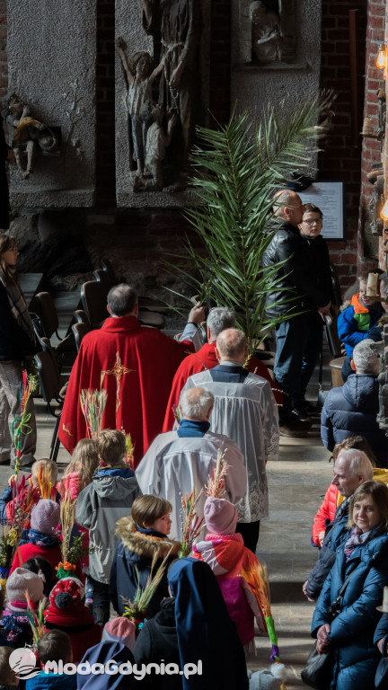 Rodzinny Piknik ze św. Janem Pawłem II