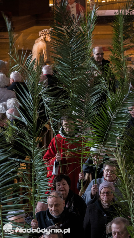 Rodzinny Piknik ze św. Janem Pawłem II