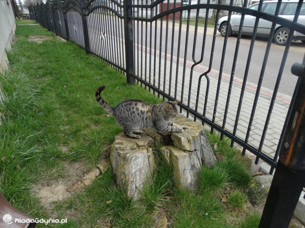 Czarne - Brygada Inki - paczki wielkanocne 2023