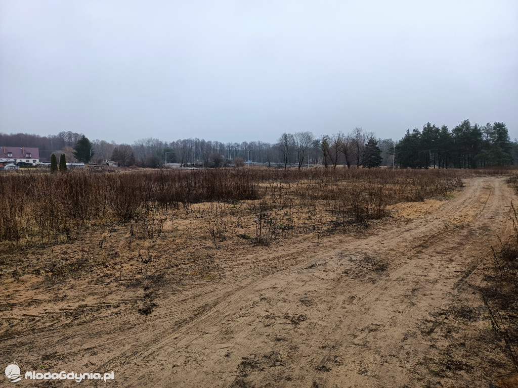 Czarne - działki przy ul. Pomorskiej