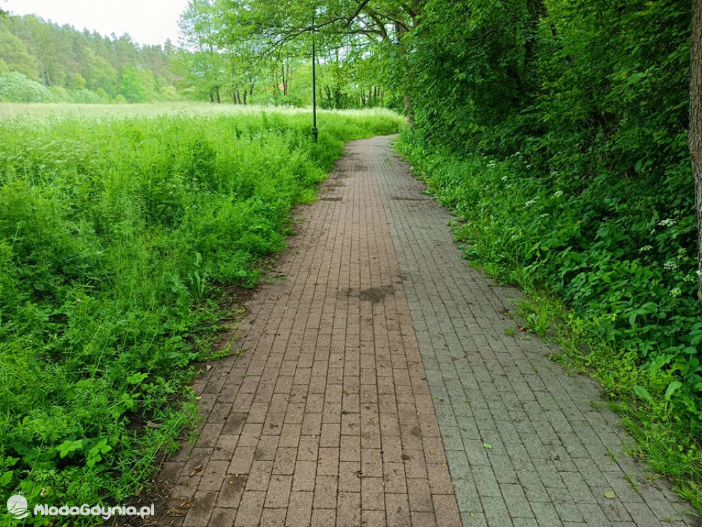 Zniszczona promenada za 6 i pół miliona złotych