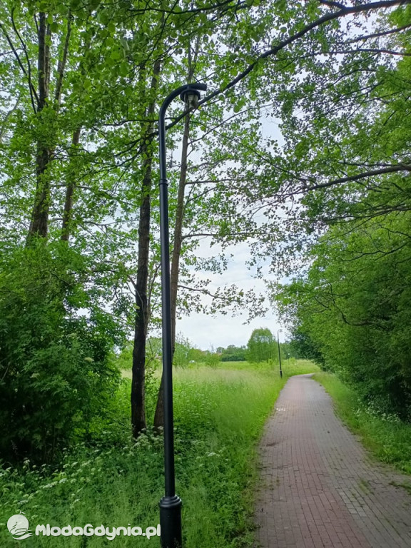 Zniszczona promenada za 6 i pół miliona złotych