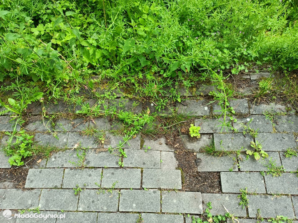 Zniszczona promenada za 6 i pół miliona złotych