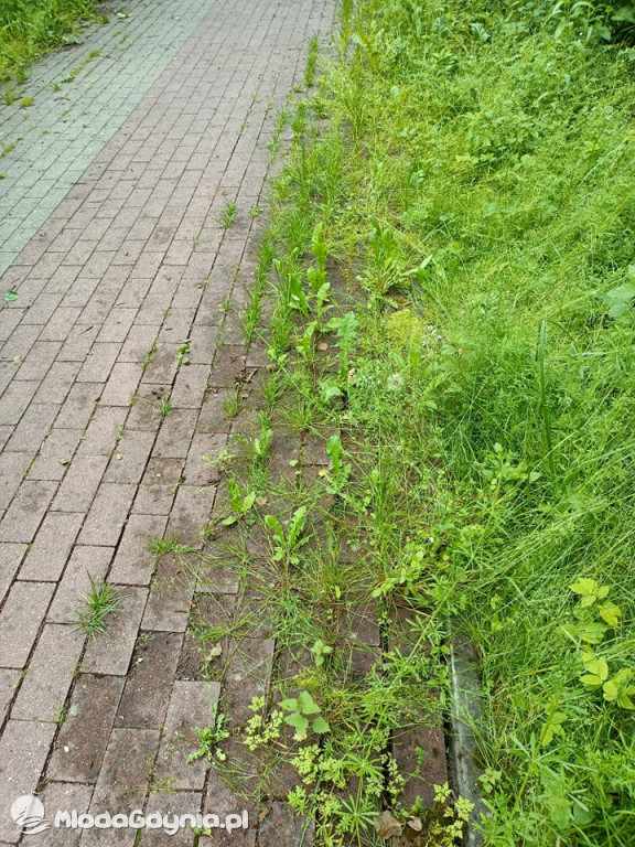 Zniszczona promenada za 6 i pół miliona złotych