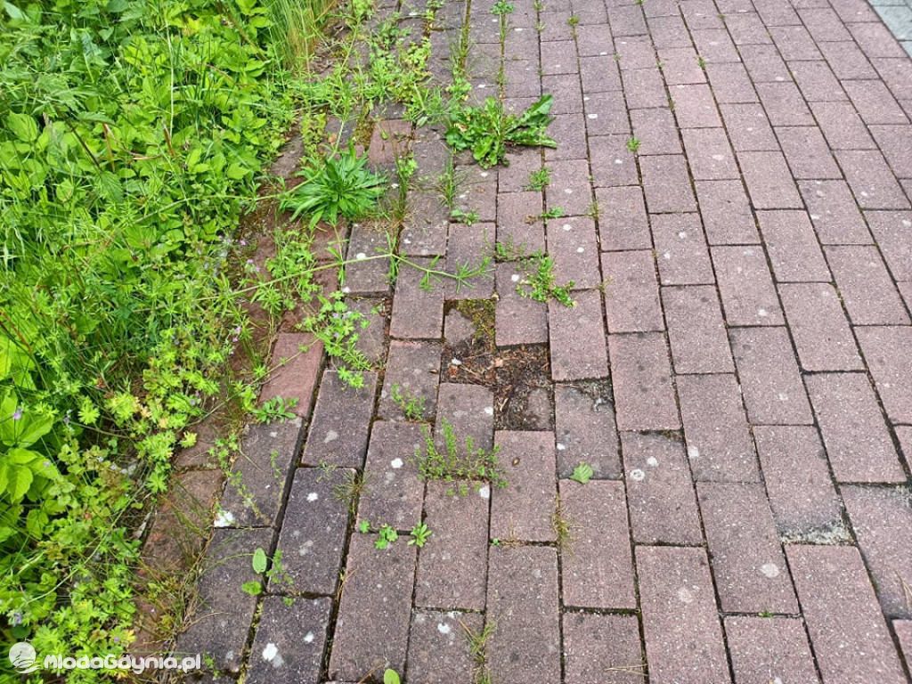 Zniszczona promenada za 6 i pół miliona złotych