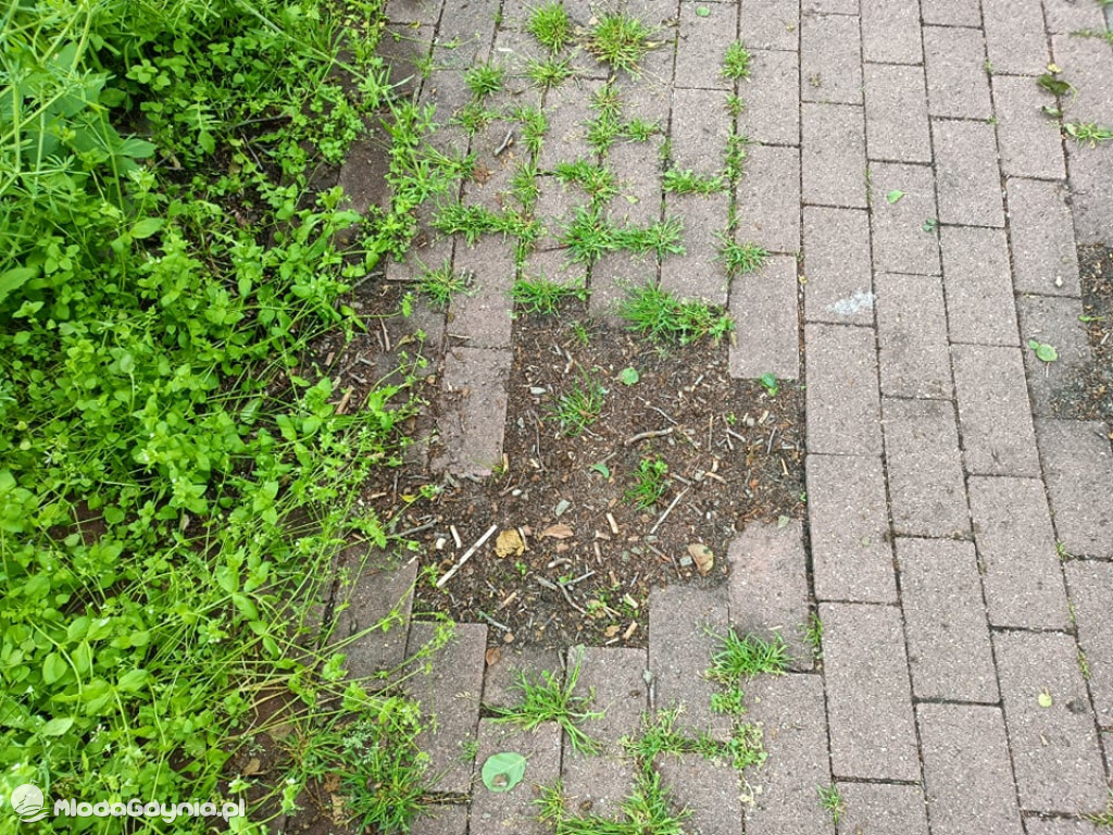 Zniszczona promenada za 6 i pół miliona złotych