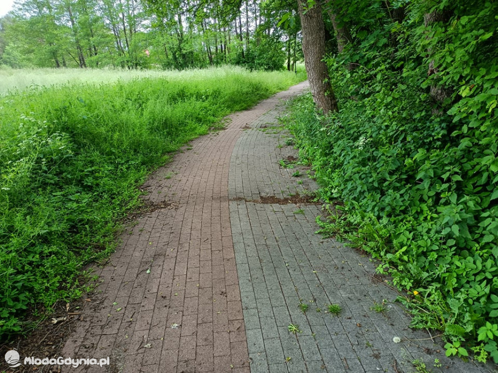 Zniszczona promenada za 6 i pół miliona złotych