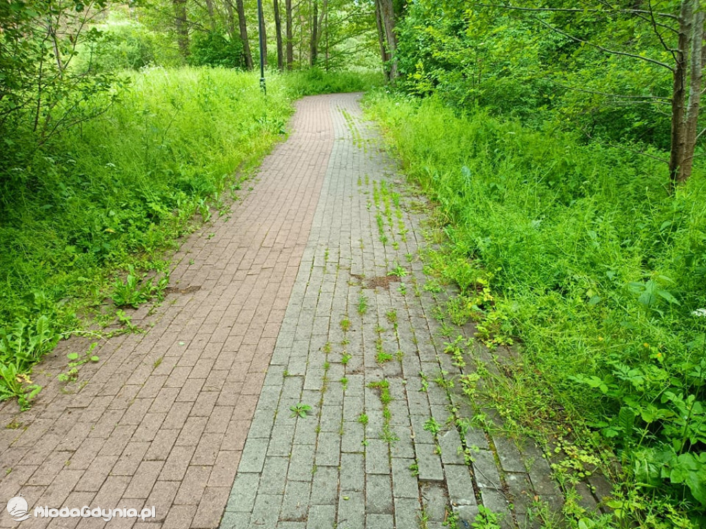 Zniszczona promenada za 6 i pół miliona złotych