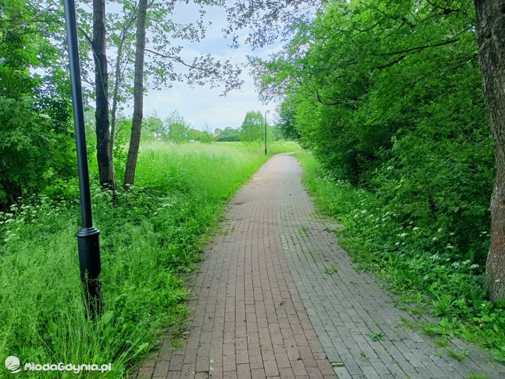 Zniszczona promenada za 6 i pół miliona złotych
