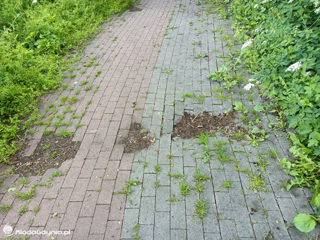 Zniszczona promenada za 6 i pół miliona złotych