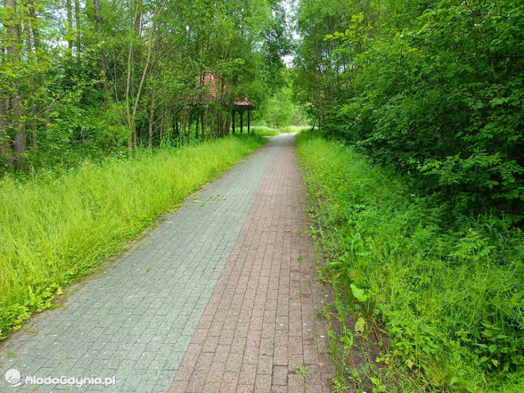 Zniszczona promenada za 6 i pół miliona złotych