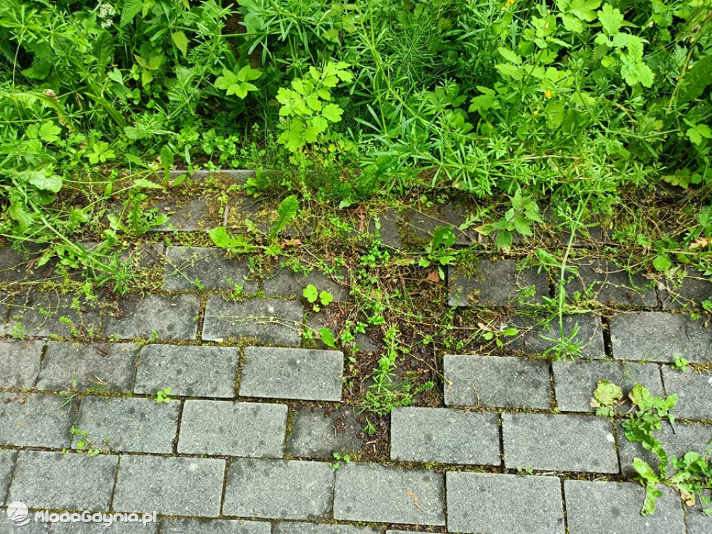 Zniszczona promenada za 6 i pół miliona złotych