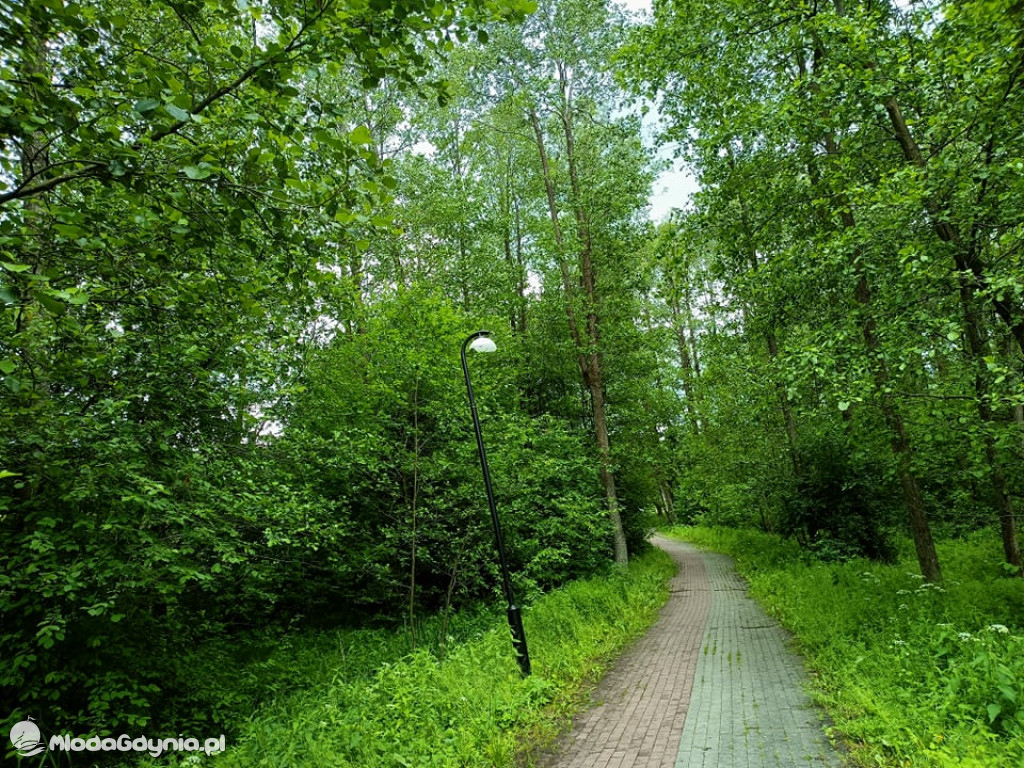 Zniszczona promenada za 6 i pół miliona złotych
