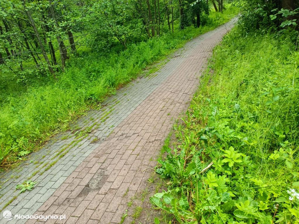 Zniszczona promenada za 6 i pół miliona złotych