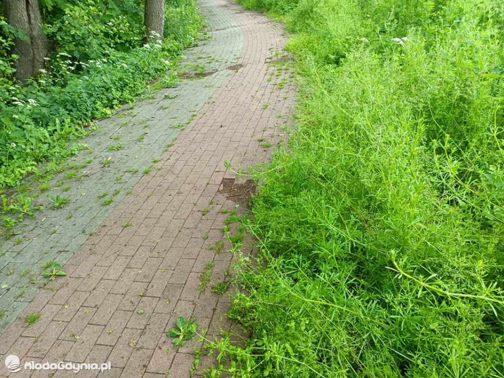 Zniszczona promenada za 6 i pół miliona złotych