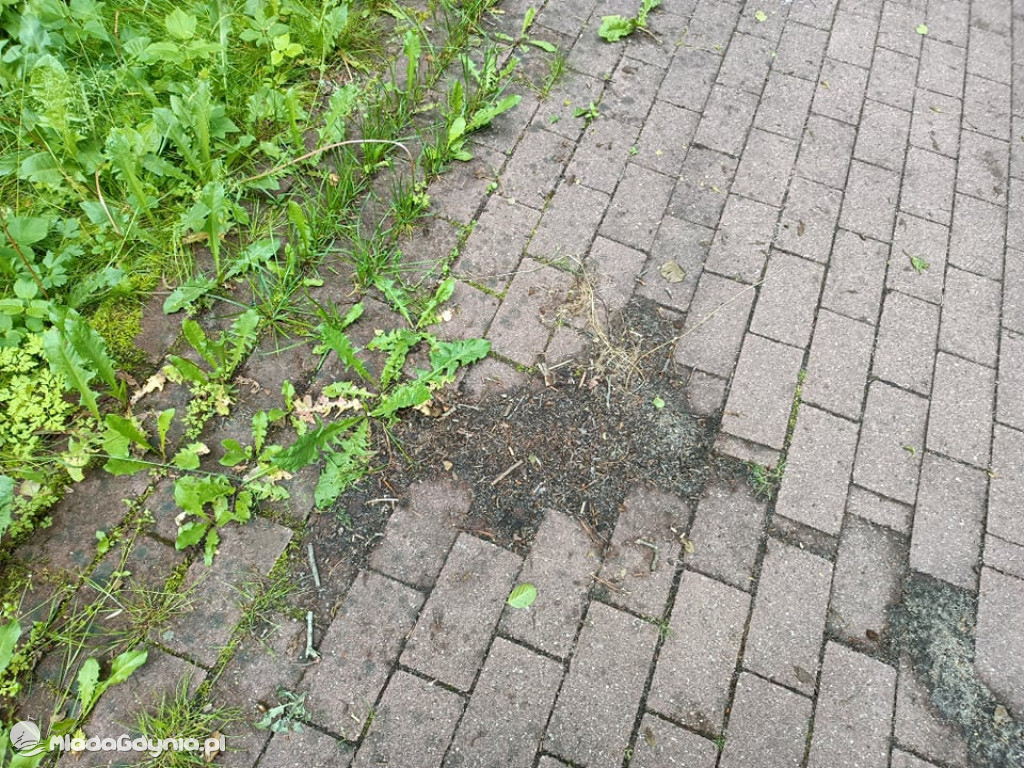 Zniszczona promenada za 6 i pół miliona złotych