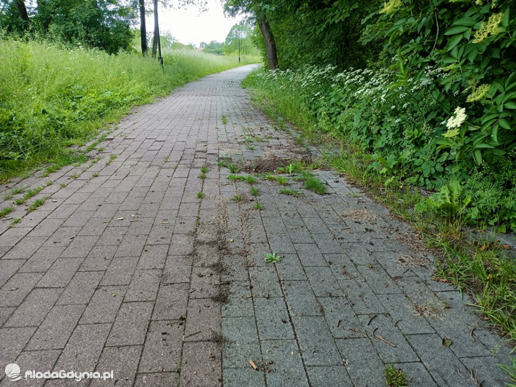 Zniszczona promenada za 6 i pół miliona złotych