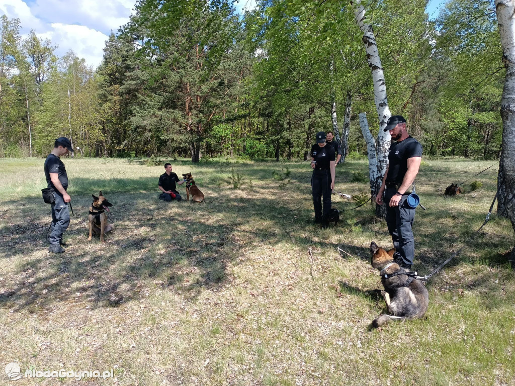 III Pomorski Bieg Walki o Pamięć - Czarne, dnia 13.05.2023r
