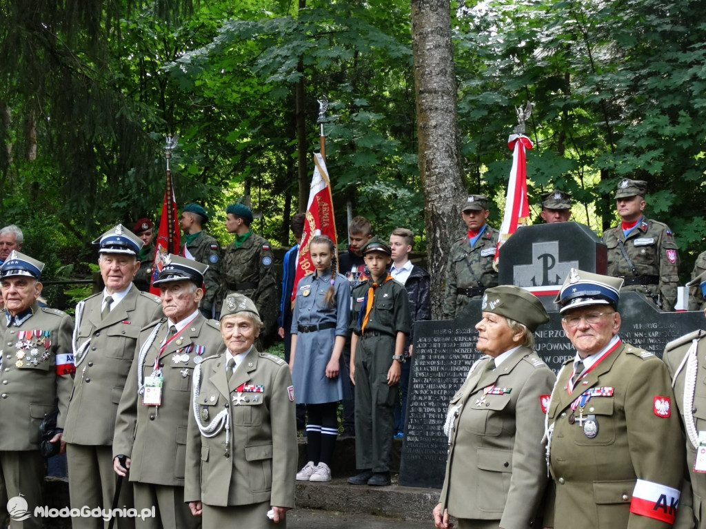 Święto Wojska Polskiego wg Mariusz Birosza