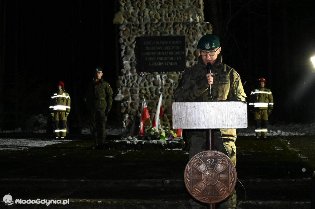 Święto Wojska Polskiego wg Mariusz Birosza