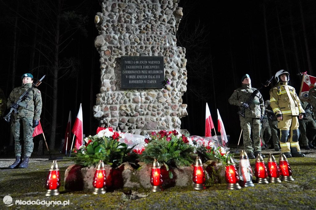 Święto Wojska Polskiego wg Mariusz Birosza