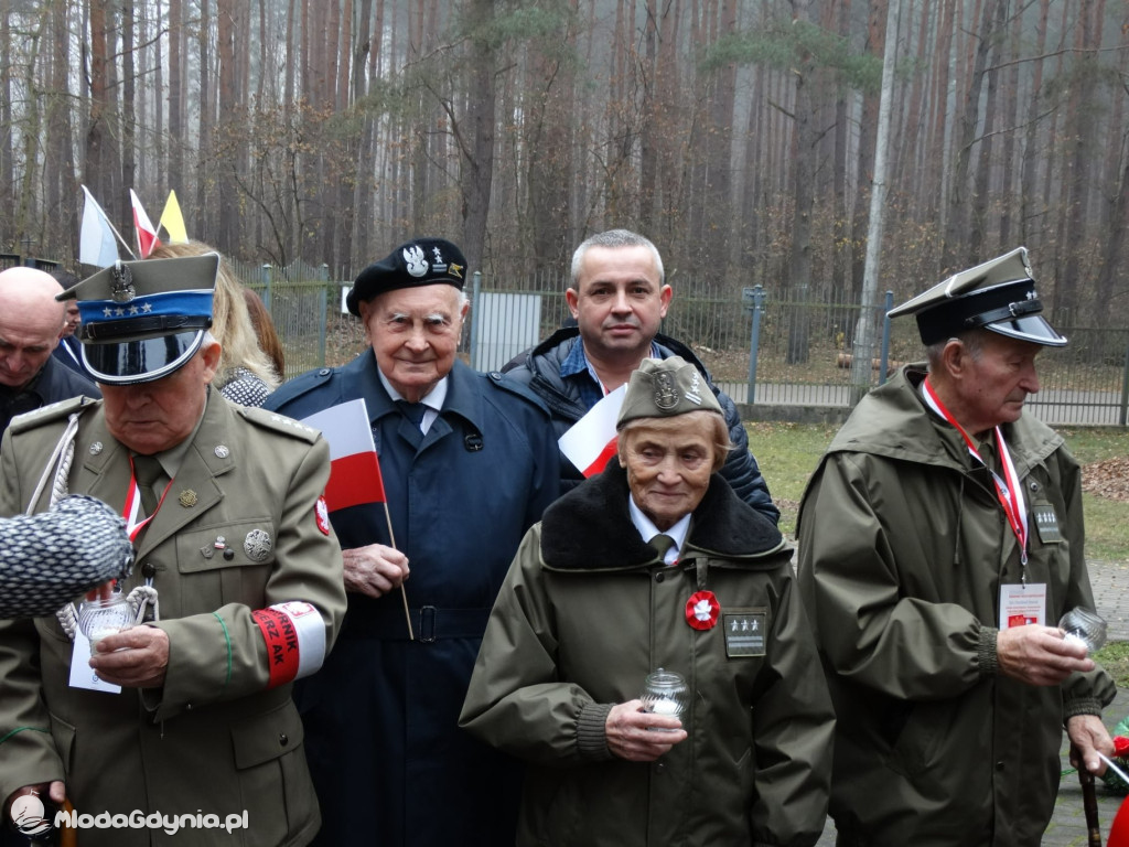 Święto Wojska Polskiego wg Mariusz Birosza