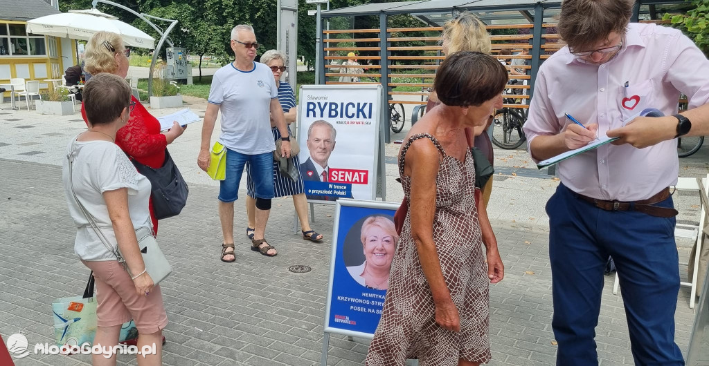 KO zbiórka podpisów - Krzywonos, Nowacka, Rybicki
