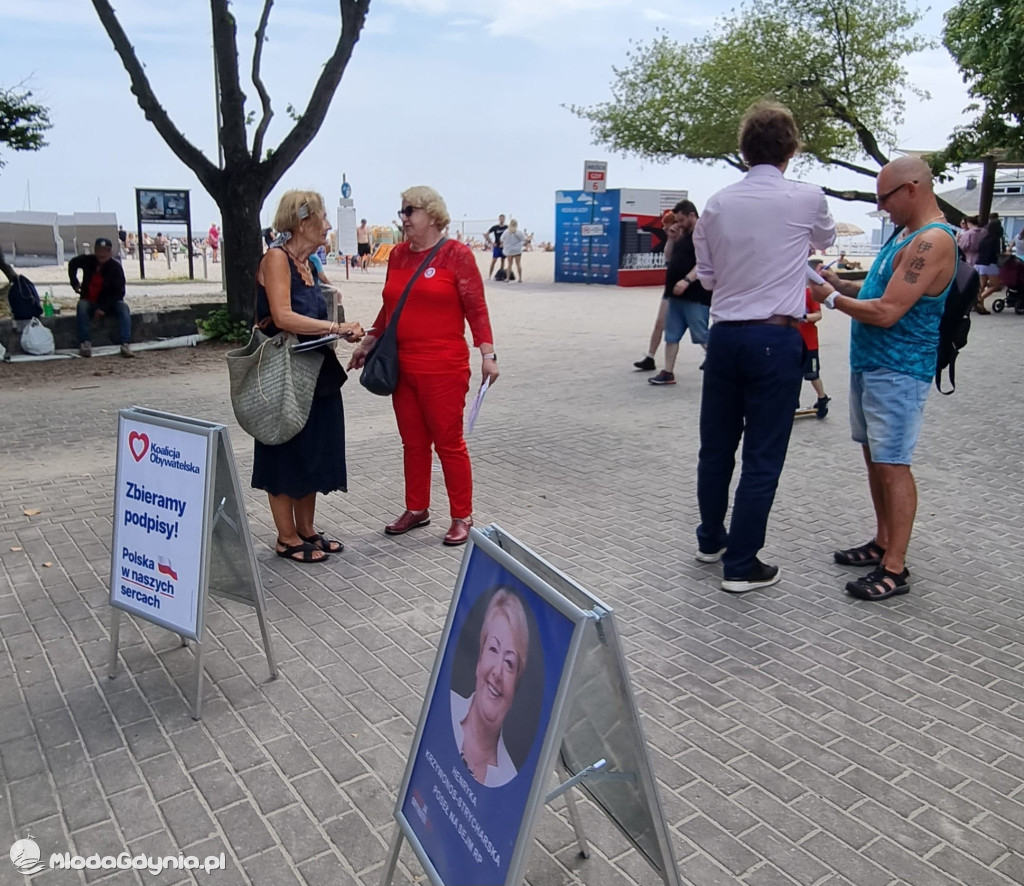 KO zbiórka podpisów - Krzywonos, Nowacka, Rybicki
