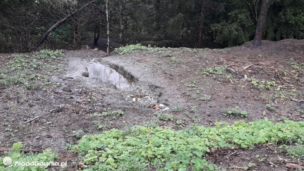 Śmieci pod Nadziejewem