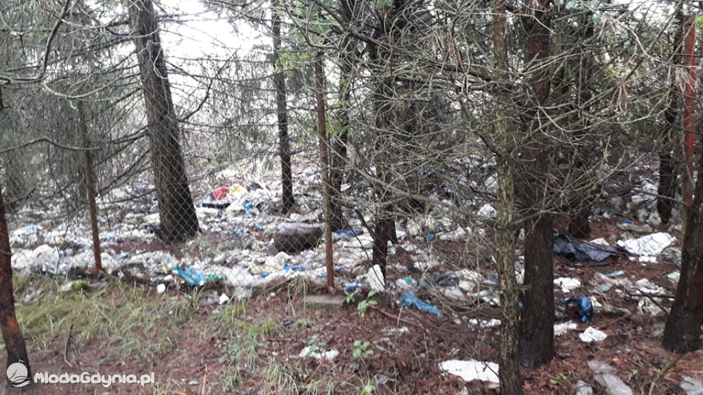 Śmieci pod Nadziejewem