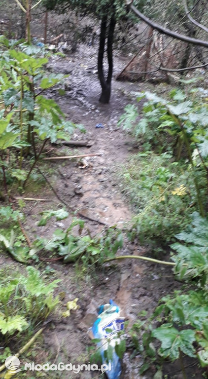 Śmieci pod Nadziejewem