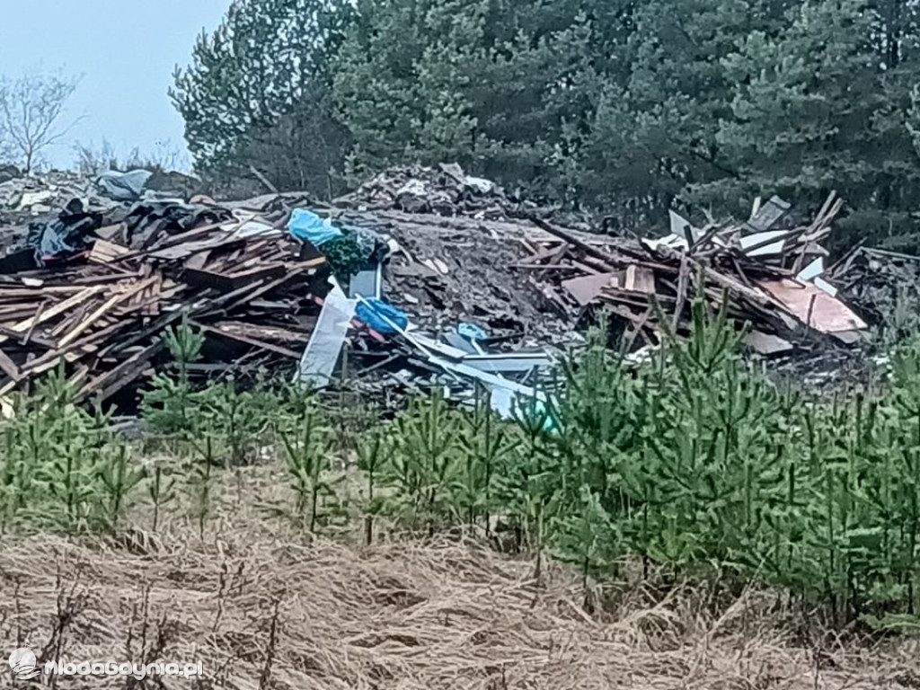 Śmieci pod Nadziejewem
