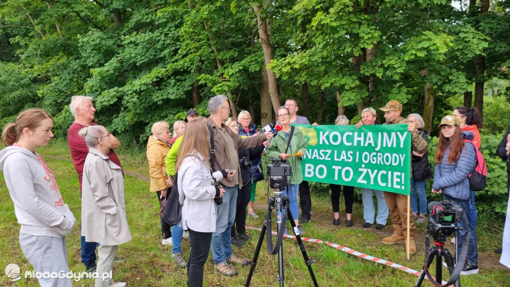 Stop odlesianiom! - protest w Chojnicach. 19 czerwca 2024