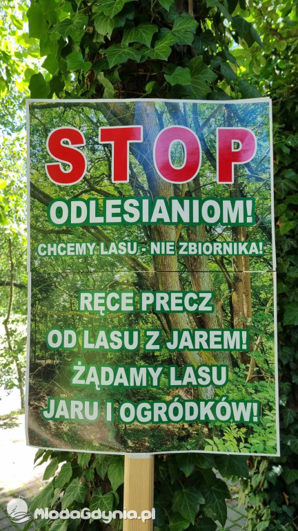 Stop odlesianiom! - protest w Chojnicach. 19 czerwca 2024