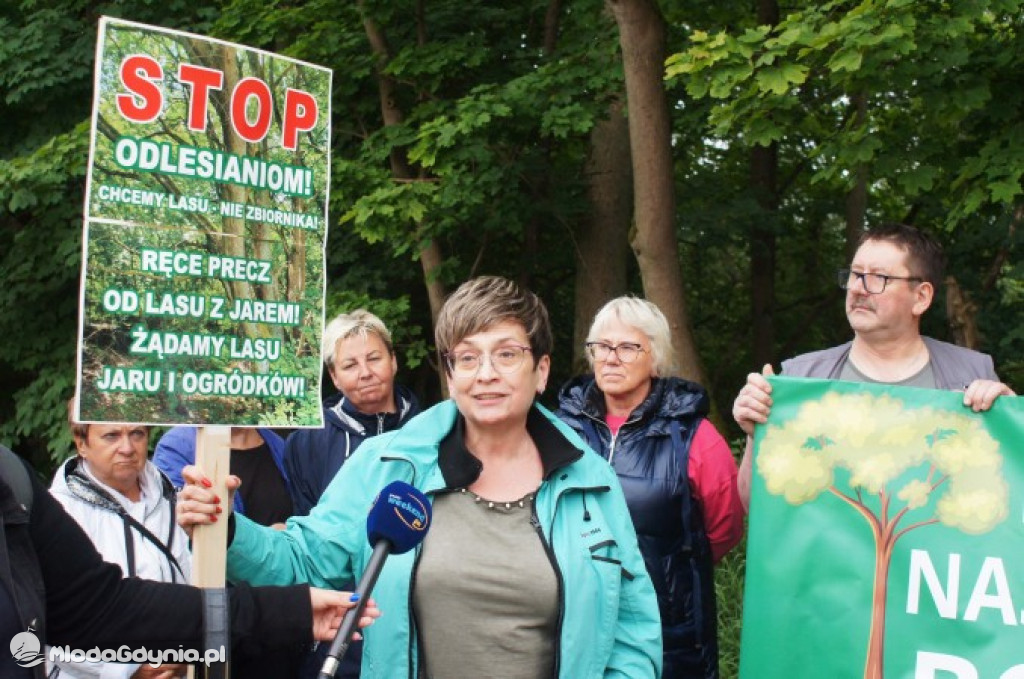 Stop odlesianiom! - protest w Chojnicach. 19 czerwca 2024