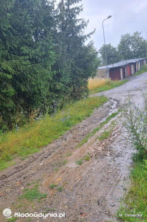 Osiedle Widokowa/Młodzieżowa czeka na ulice z prawdziwego zdarzenia