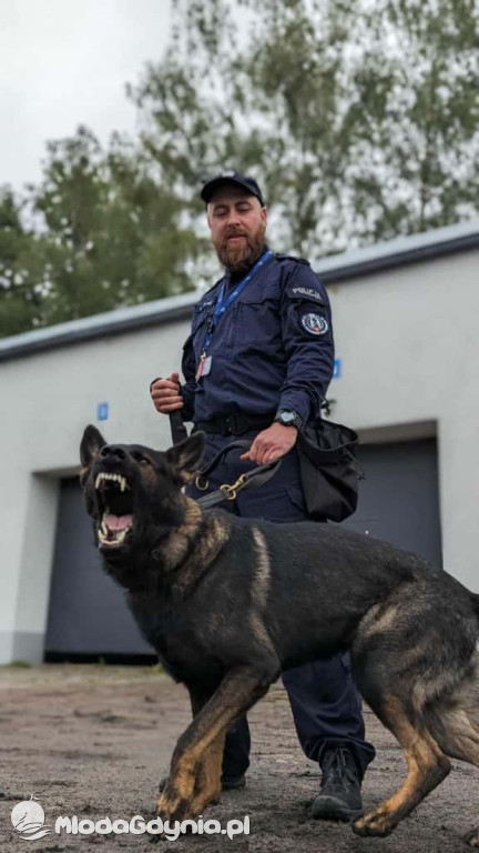 Psy w gdyńskiej Policji