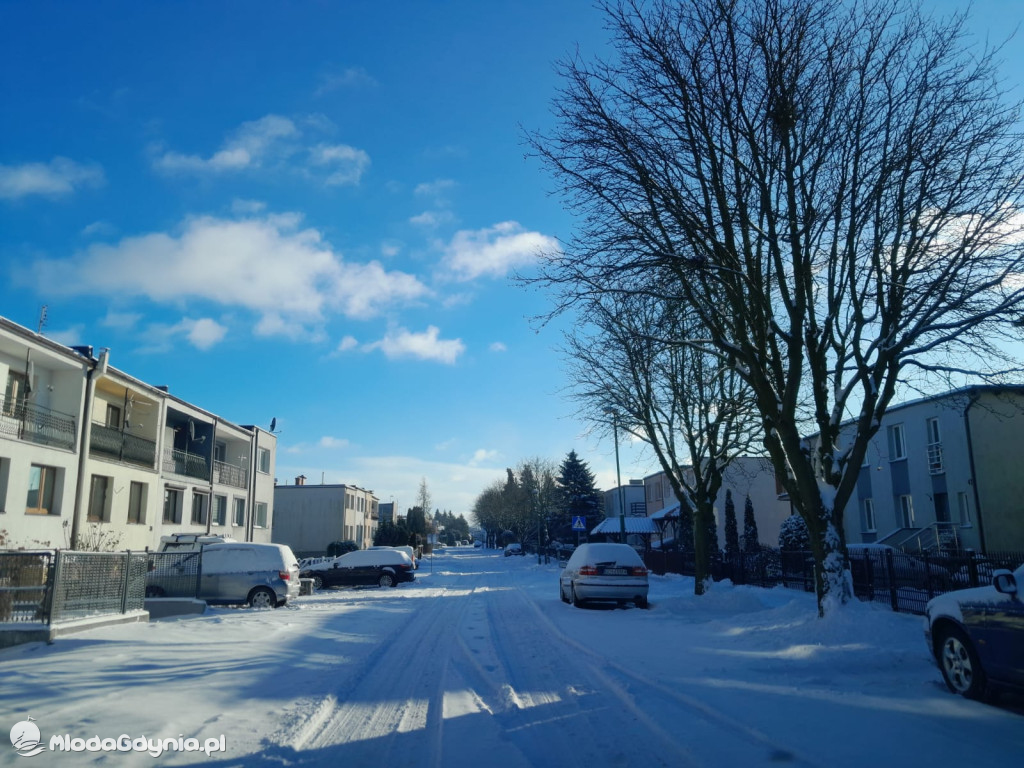 Białe, zasypane Chojnice na początku stycznia 2026