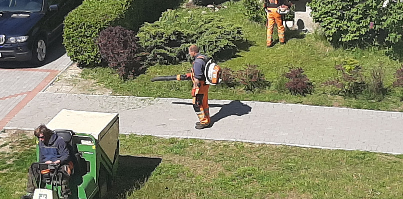 Koszą trawę, koszą. Bezmyślność prowadzi do tragedii