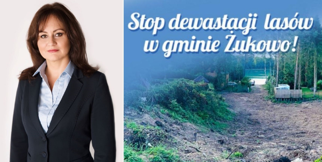 Władze Żukowa nie chcą chronić przyrody?